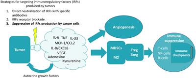 Tumor-produced immune regulatory factors as a therapeutic target in cancer treatment